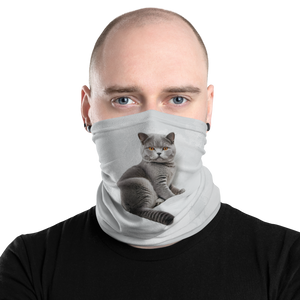 Relaxing British Shorthair Cat Face Mask & Neck Gaiter