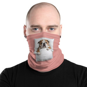 Sleeping Bulldog Face Mask & Neck Gaiter