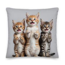 Funny Tripple Cats Premium Pillow