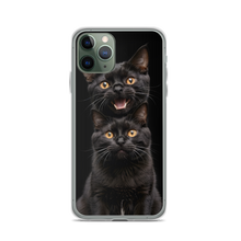 Two Black Cats Follows iPhone Case