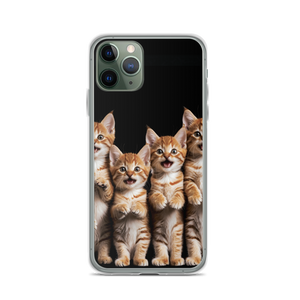 Four Cute Cats iPhone Case