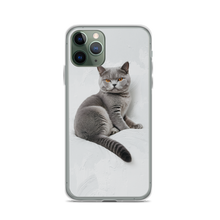 Relaxing British Shorthair Cat iPhone Case