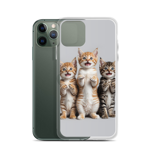 Funny Tripple Cats iPhone Case