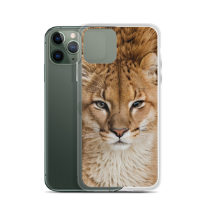 Baby Lion iPhone Case