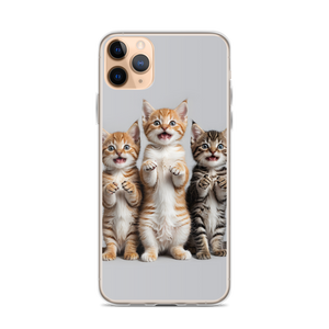 Funny Tripple Cats iPhone Case