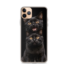 Two Black Cats Follows iPhone Case