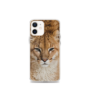 Baby Lion iPhone Case