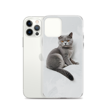 Relaxing British Shorthair Cat iPhone Case