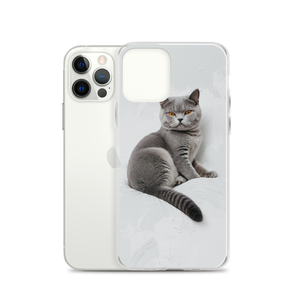 Relaxing British Shorthair Cat iPhone Case