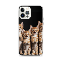 Four Cute Cats iPhone Case