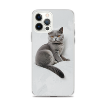 Relaxing British Shorthair Cat iPhone Case