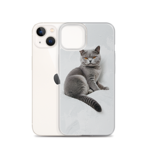 Relaxing British Shorthair Cat iPhone Case