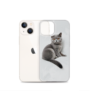 Relaxing British Shorthair Cat iPhone Case