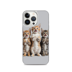 Funny Tripple Cats iPhone Case