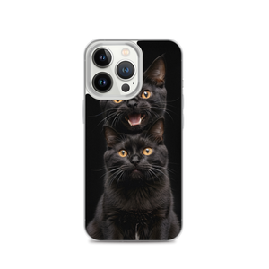 Two Black Cats Follows iPhone Case