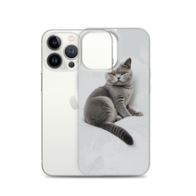 Relaxing British Shorthair Cat iPhone Case