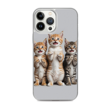 Funny Tripple Cats iPhone Case