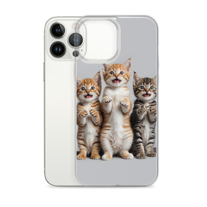 Funny Tripple Cats iPhone Case