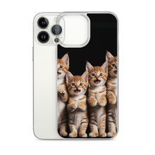 Four Cute Cats iPhone Case