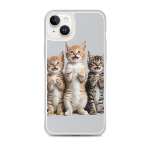 Funny Tripple Cats iPhone Case