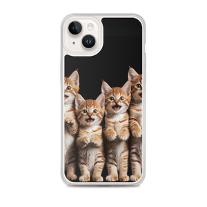 Four Cute Cats iPhone Case