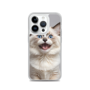 Ragdoll Kitten iPhone Case