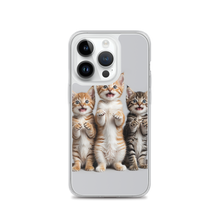 Funny Tripple Cats iPhone Case