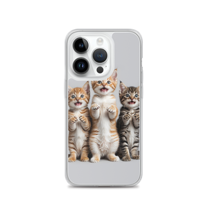 Funny Tripple Cats iPhone Case