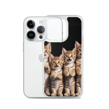 Four Cute Cats iPhone Case