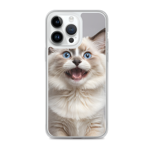 Ragdoll Kitten iPhone Case