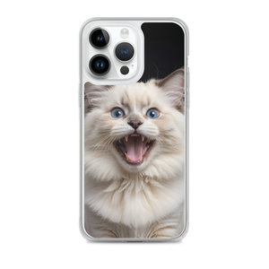 Angry Ragdoll Kitten iPhone Case