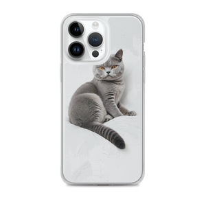 Relaxing British Shorthair Cat iPhone Case