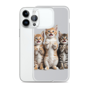 Funny Tripple Cats iPhone Case