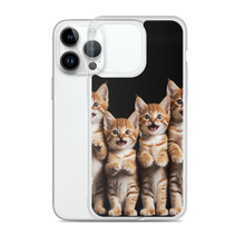 Four Cute Cats iPhone Case