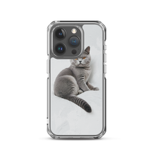 Relaxing British Shorthair Cat iPhone Case