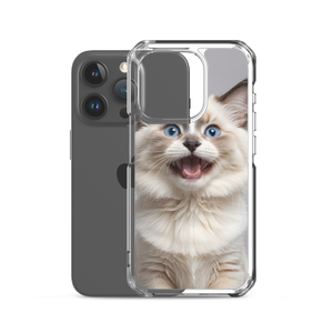 Ragdoll Kitten iPhone Case