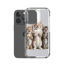 Funny Tripple Cats iPhone Case