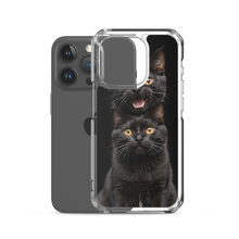 Two Black Cats Follows iPhone Case