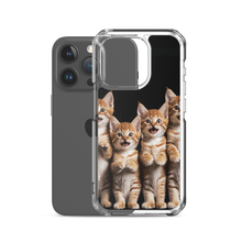 Four Cute Cats iPhone Case