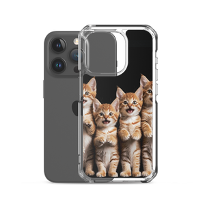 Four Cute Cats iPhone Case