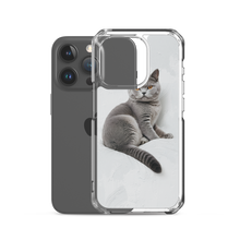 Relaxing British Shorthair Cat iPhone Case