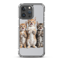 Funny Tripple Cats iPhone Case