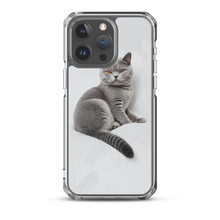 Relaxing British Shorthair Cat iPhone Case