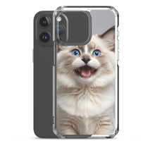 Ragdoll Kitten iPhone Case