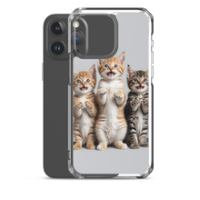 Funny Tripple Cats iPhone Case