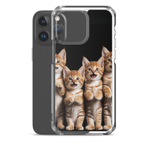 Four Cute Cats iPhone Case