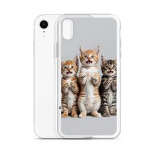 Funny Tripple Cats iPhone Case