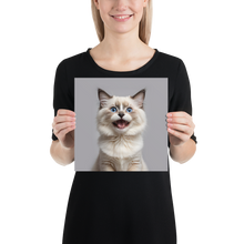 Ragdoll Kitten Poster Print Art