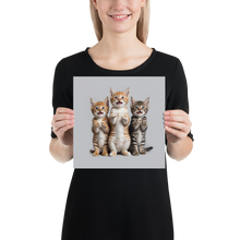 Funny Tripple Cats Poster Print Art