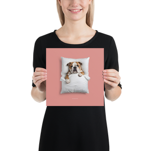 Sleeping Bulldog Poster Print Art